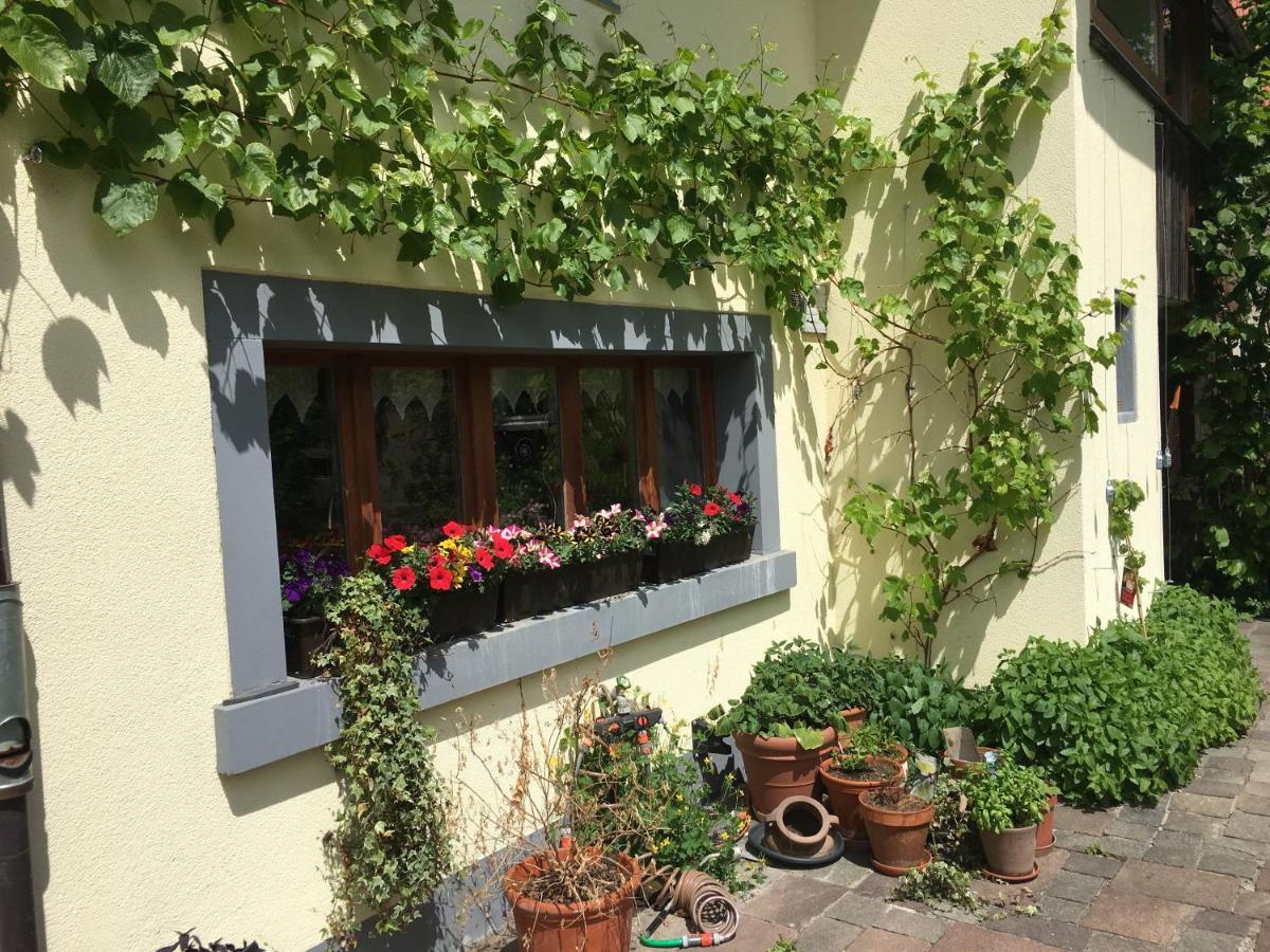 Ferienhaus Mit Naturgarten Dachsen Εξωτερικό φωτογραφία