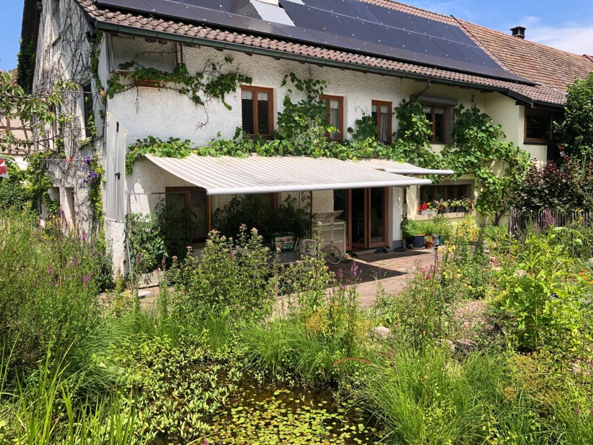 Ferienhaus Mit Naturgarten Dachsen Εξωτερικό φωτογραφία